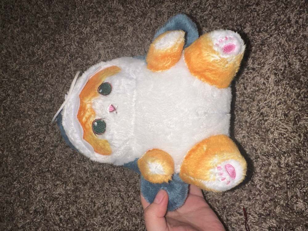 Shark Orange Cat Plush Shark Cat Plush